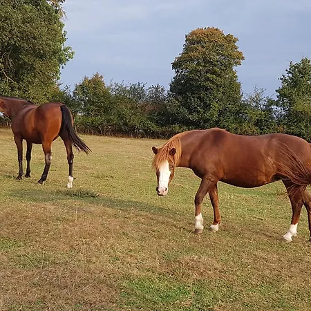 La Petite Maison Tatil Evi